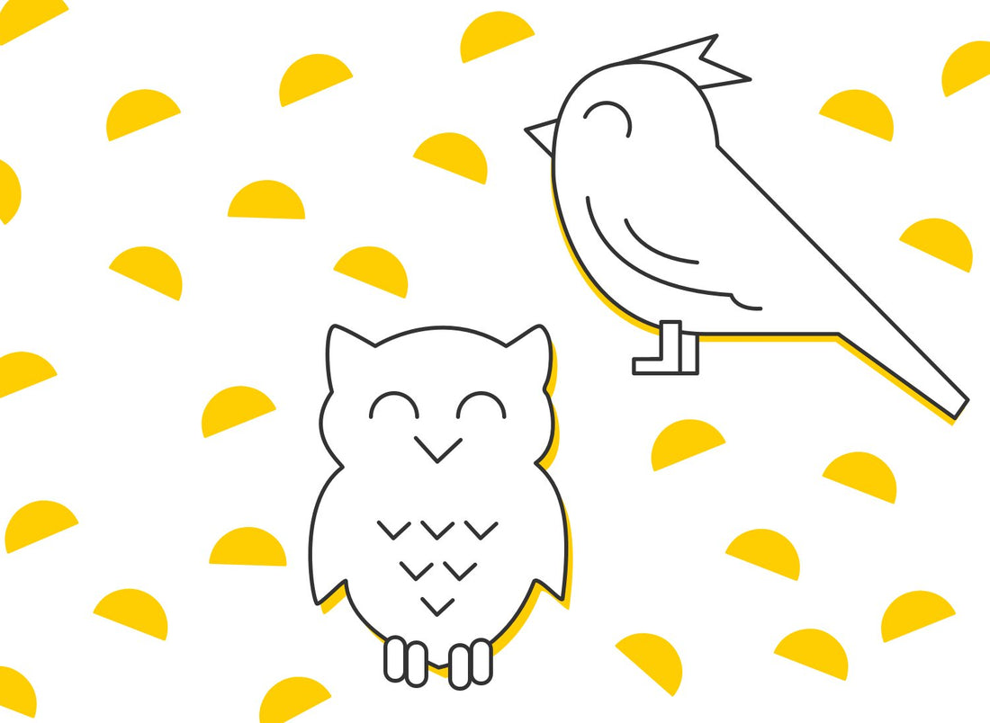 get-up-and-go tips for morning larks and night owls